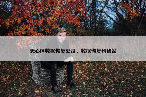 天心区数据恢复公司，数据恢复维修站
