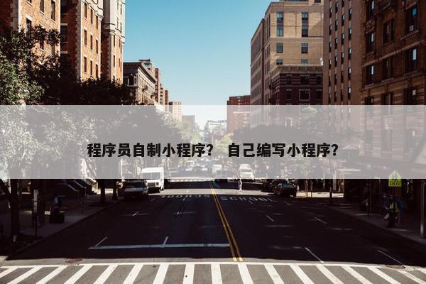 程序员自制小程序？ 自己编写小程序？