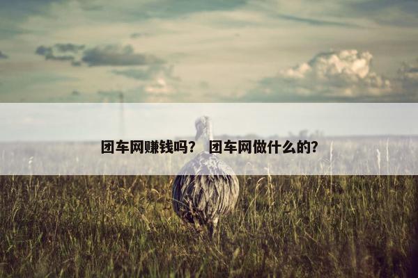 团车网赚钱吗？ 团车网做什么的？