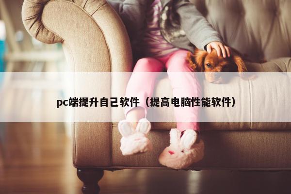 pc端提升自己软件（提高电脑性能软件）