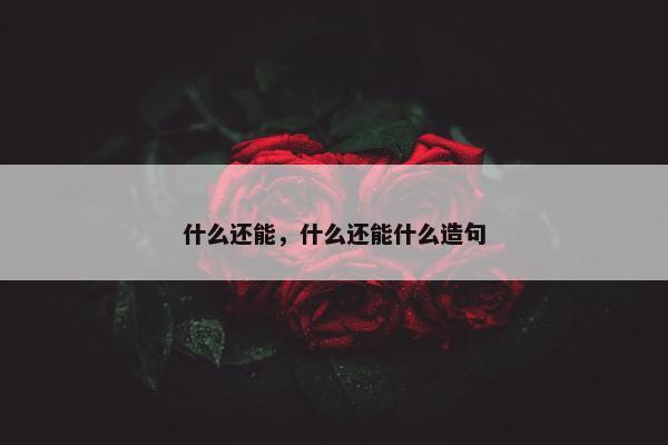 什么还能，什么还能什么造句
