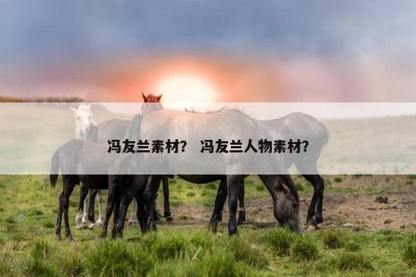 冯友兰素材？ 冯友兰人物素材？