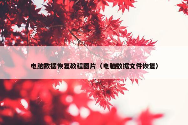 电脑数据恢复教程图片（电脑数据文件恢复）