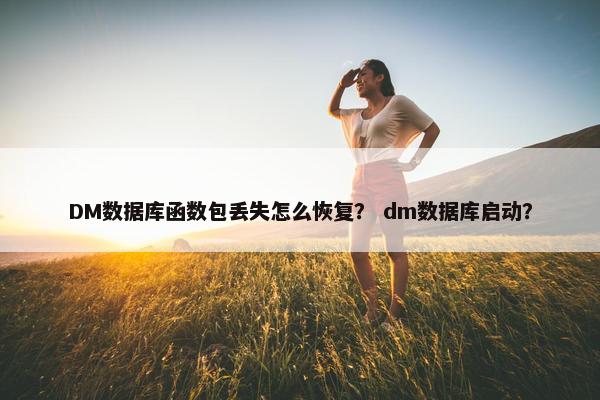 DM数据库函数包丢失怎么恢复？ dm数据库启动？