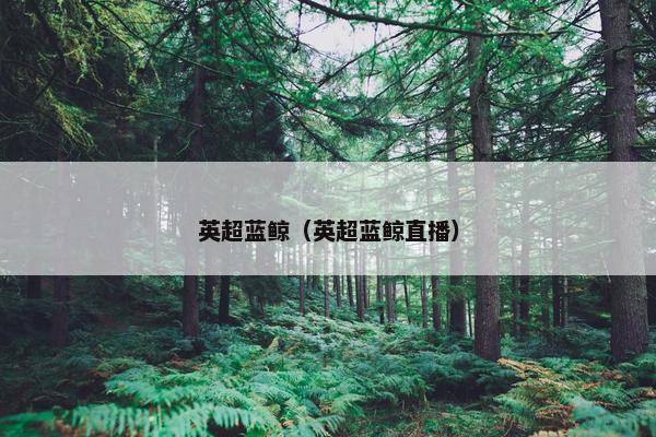 英超蓝鲸（英超蓝鲸直播）
