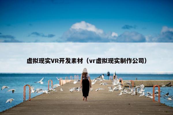 虚拟现实VR开发素材（vr虚拟现实制作公司）