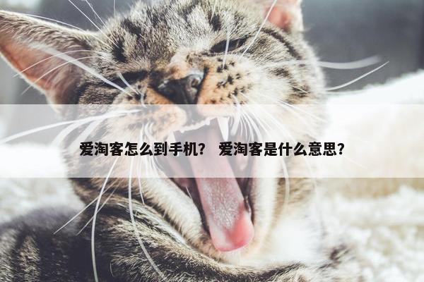 爱淘客怎么到手机？ 爱淘客是什么意思？