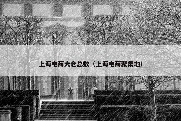 上海电商大仓总数（上海电商聚集地）