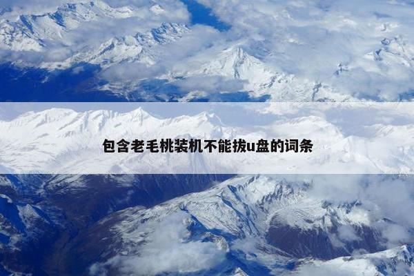 包含老毛桃装机不能拔u盘的词条