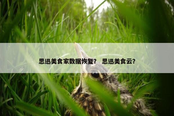 思迅美食家数据恢复？ 思迅美食云？