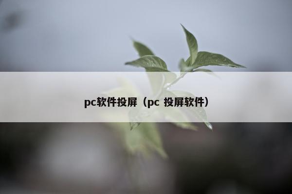 pc软件投屏（pc 投屏软件）