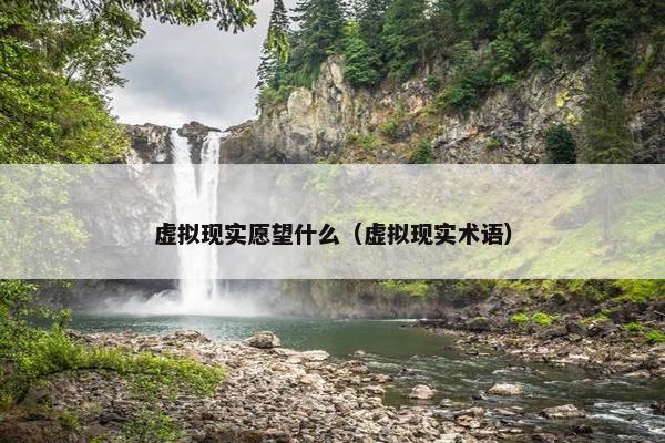 虚拟现实愿望什么（虚拟现实术语）