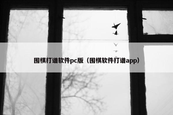 围棋打谱软件pc版（围棋软件打谱app）