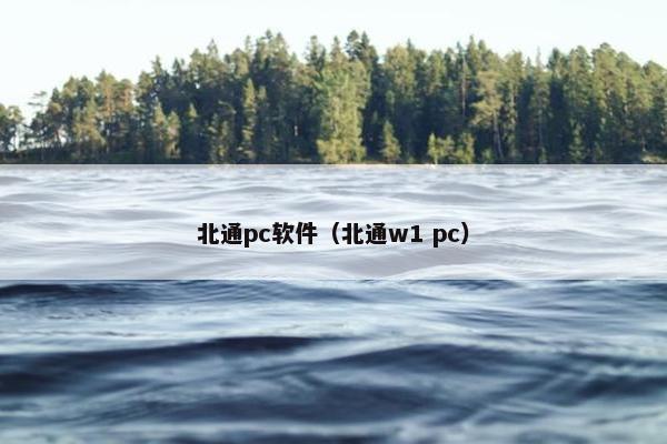 北通pc软件（北通w1 pc）