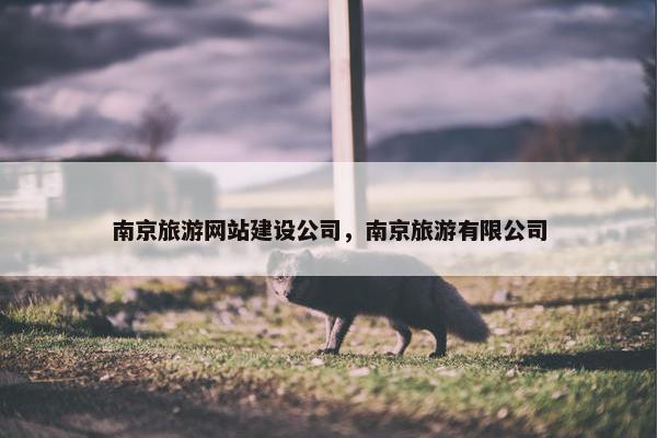 南京旅游网站建设公司，南京旅游有限公司
