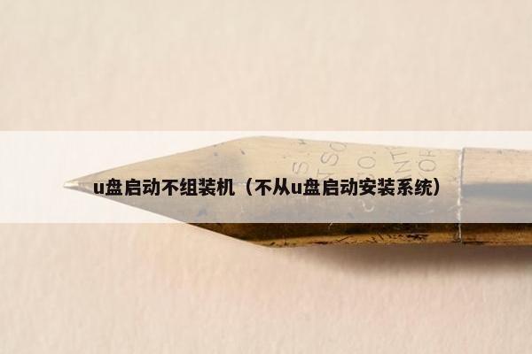 u盘启动不组装机（不从u盘启动安装系统）