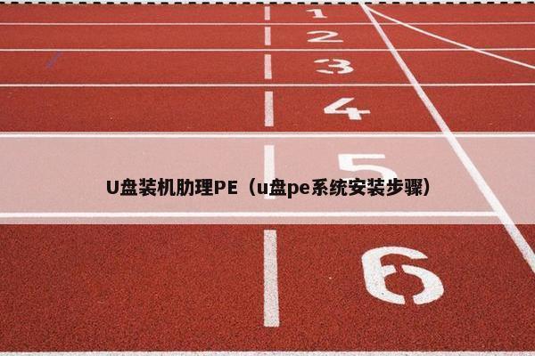 U盘装机肋理PE（u盘pe系统安装步骤）