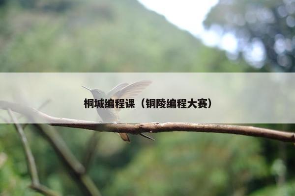 桐城编程课（铜陵编程大赛）
