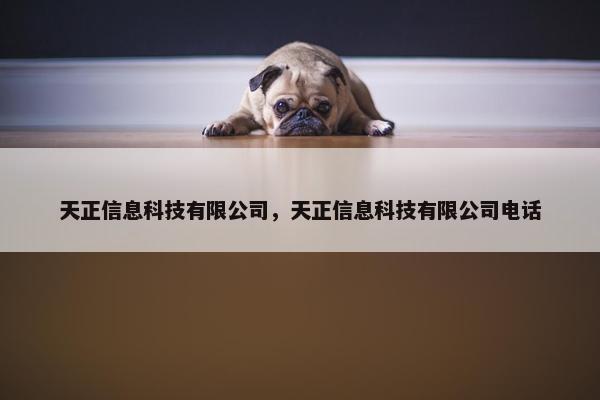 天正信息科技有限公司，天正信息科技有限公司电话