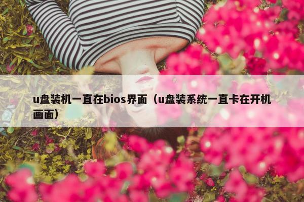 u盘装机一直在bios界面（u盘装系统一直卡在开机画面）
