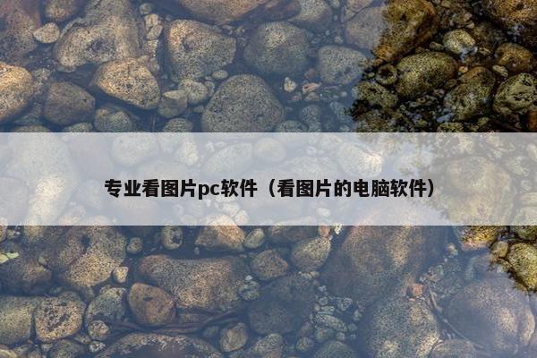 专业看图片pc软件（看图片的电脑软件）