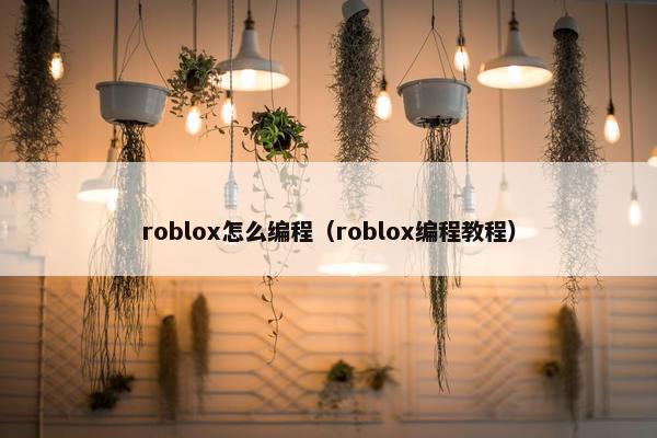 roblox怎么编程（roblox编程教程）