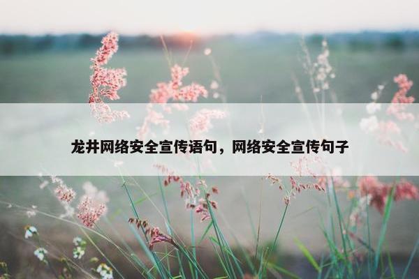 龙井网络安全宣传语句，网络安全宣传句子
