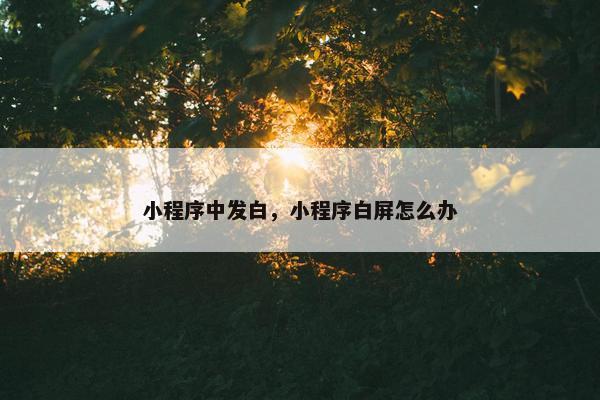小程序中发白，小程序白屏怎么办