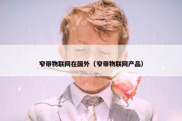 窄带物联网在国外（窄带物联网产品）
