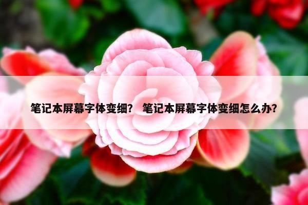 笔记本屏幕字体变细？ 笔记本屏幕字体变细怎么办？
