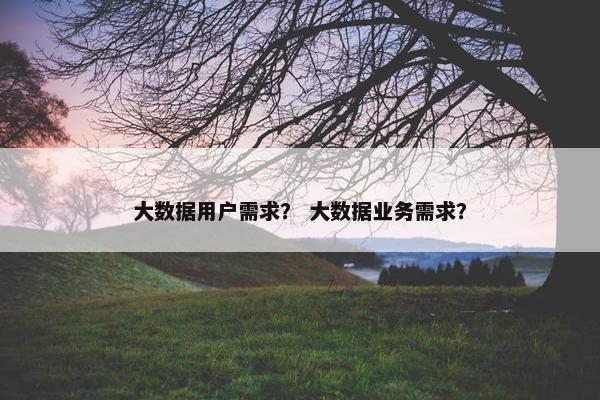 大数据用户需求？ 大数据业务需求？