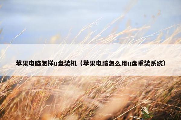 苹果电脑怎样u盘装机（苹果电脑怎么用u盘重装系统）