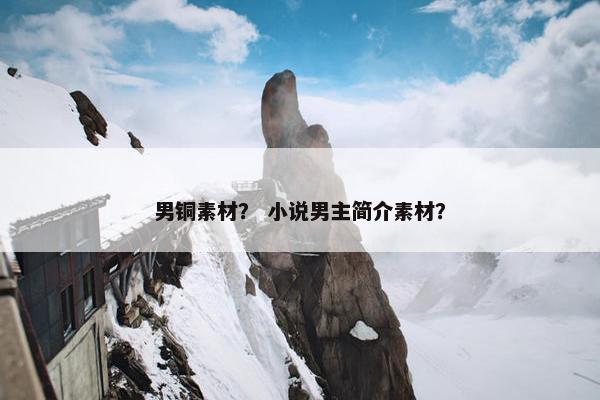 男铜素材？ 小说男主简介素材？