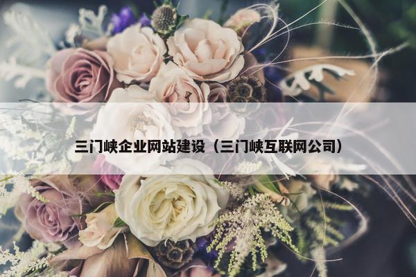 三门峡企业网站建设（三门峡互联网公司）