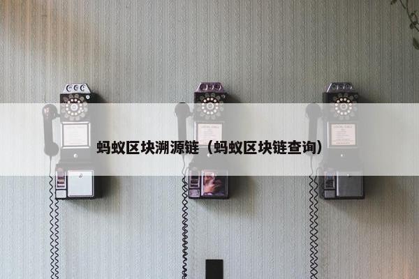 蚂蚁区块溯源链（蚂蚁区块链查询）