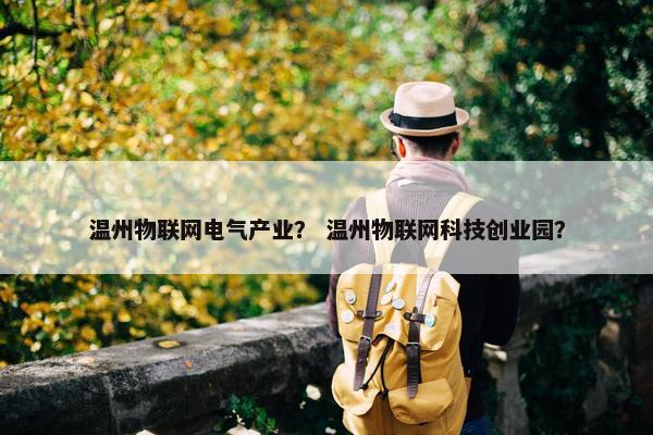 温州物联网电气产业？ 温州物联网科技创业园？