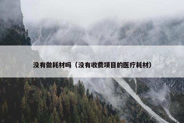 没有做耗材吗（没有收费项目的医疗耗材）
