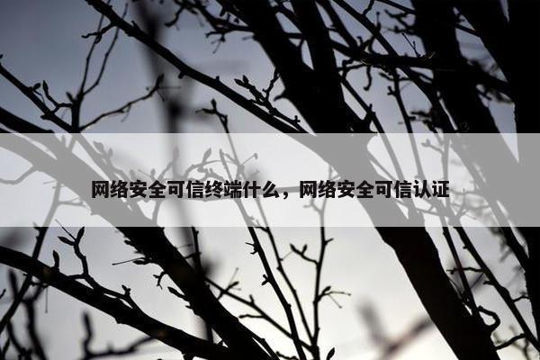 网络安全可信终端什么，网络安全可信认证