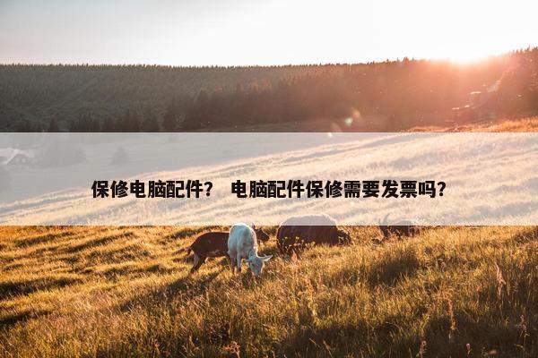 保修电脑配件？ 电脑配件保修需要发票吗？
