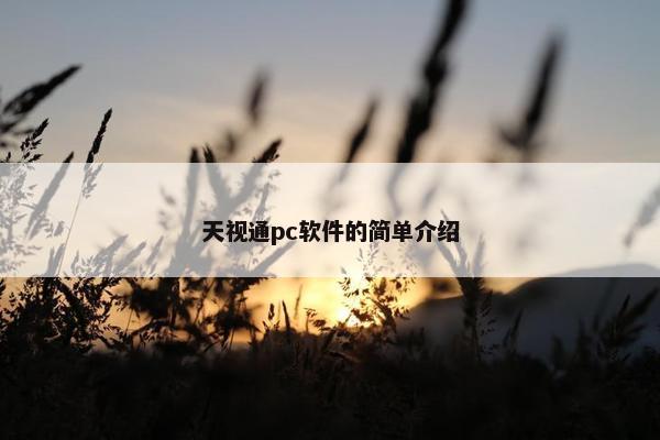 天视通pc软件的简单介绍