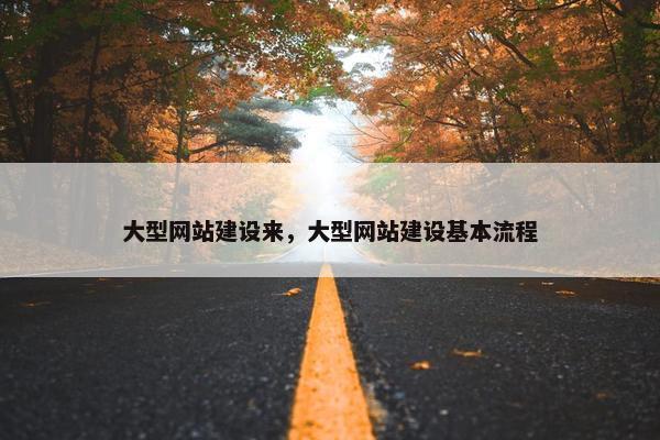 大型网站建设来，大型网站建设基本流程