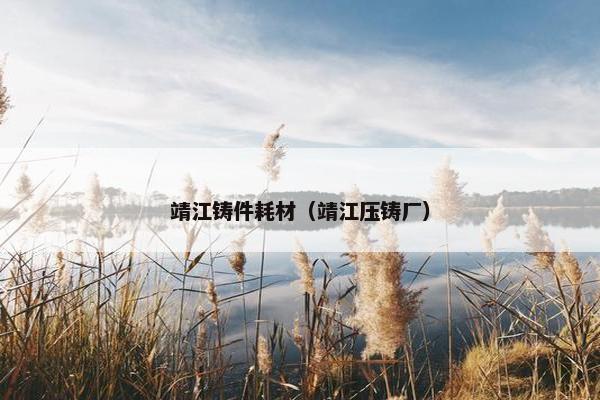 靖江铸件耗材（靖江压铸厂）