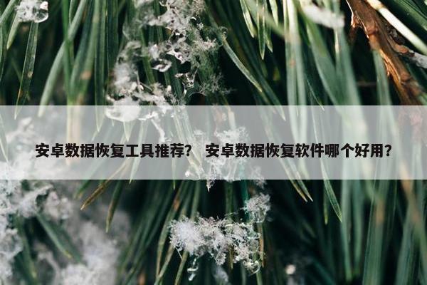 安卓数据恢复工具推荐？ 安卓数据恢复软件哪个好用？