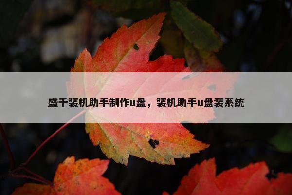 盛千装机助手制作u盘，装机助手u盘装系统