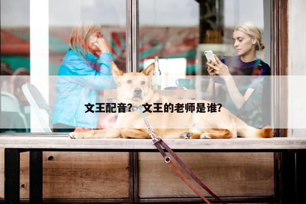 文王配音？ 文王的老师是谁？
