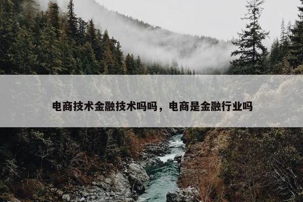 电商技术金融技术吗吗，电商是金融行业吗