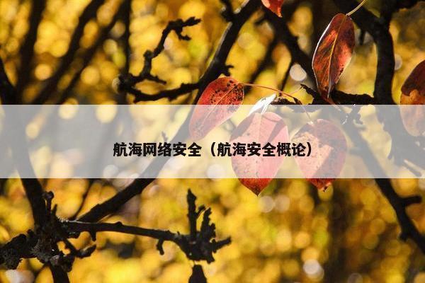 航海网络安全（航海安全概论）