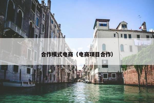 合作模式电商（电商项目合作）