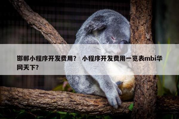 邯郸小程序开发费用？ 小程序开发费用一览表mbi华网天下？