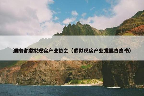 湖南省虚拟现实产业协会（虚拟现实产业发展白皮书）